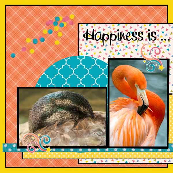 Happiness is Taking Photos of Animals