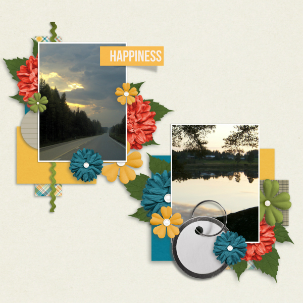 Happiness is travel