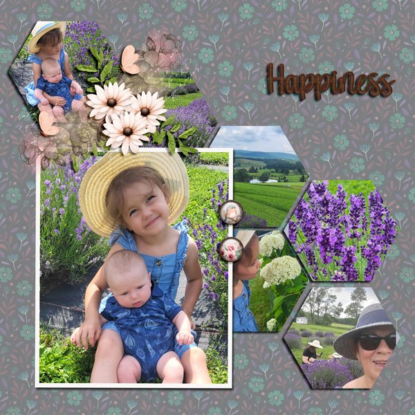 HAPPINESS-TEMP-1-8-25-WEB.jpg