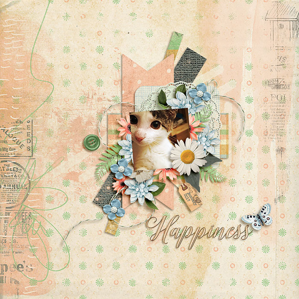 happiness