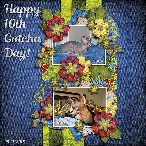 Happy 10th Gotcha Day!