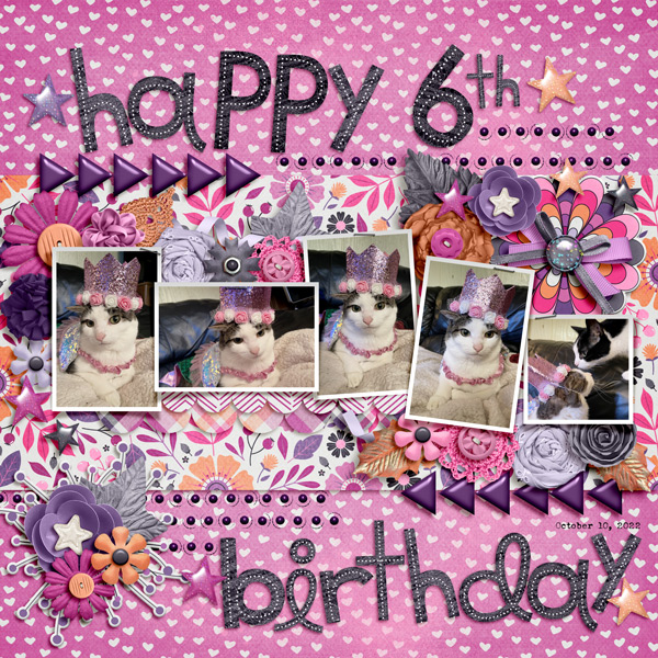 happy 6th