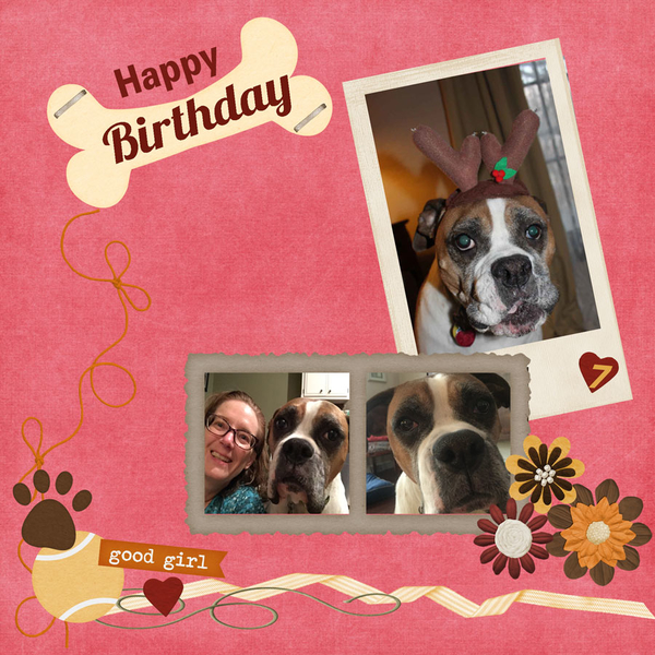 Happy 7th Birthday
