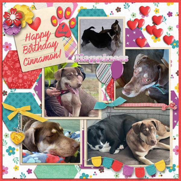 Happy B-day Cinnamon