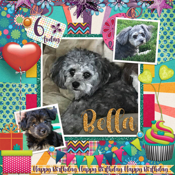 Happy Bday Bella