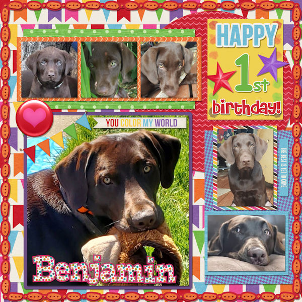 Happy Bday Benjamin