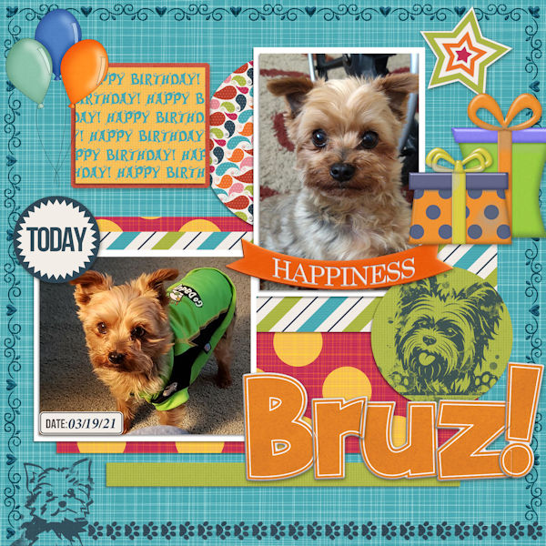 Happy Bday Bruz