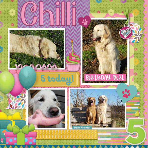 Happy Bday Chilli