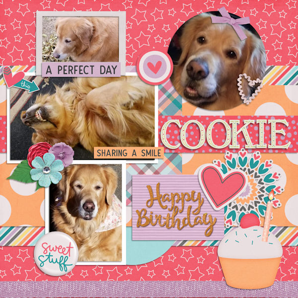 Happy Bday Cookie