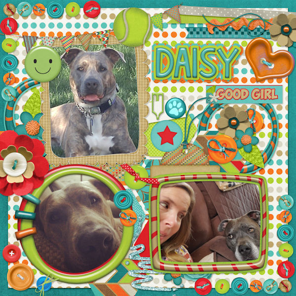 Happy Bday Daisy
