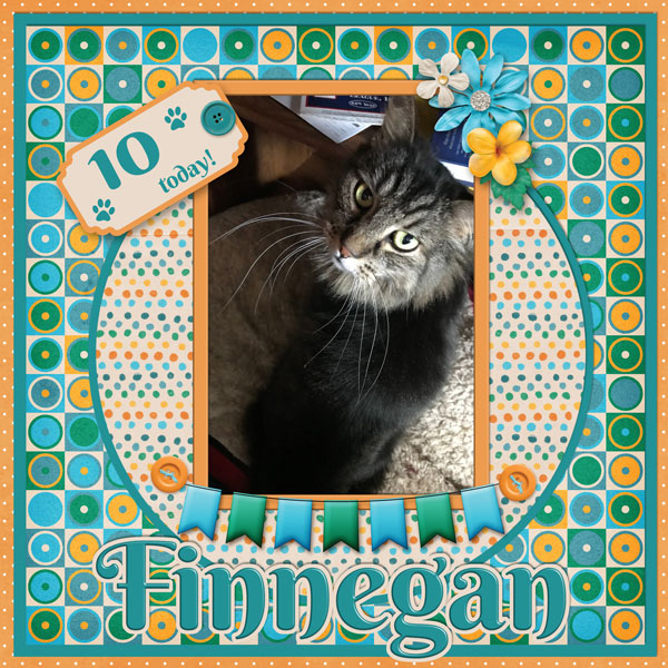 Happy Bday Finnegan 2023