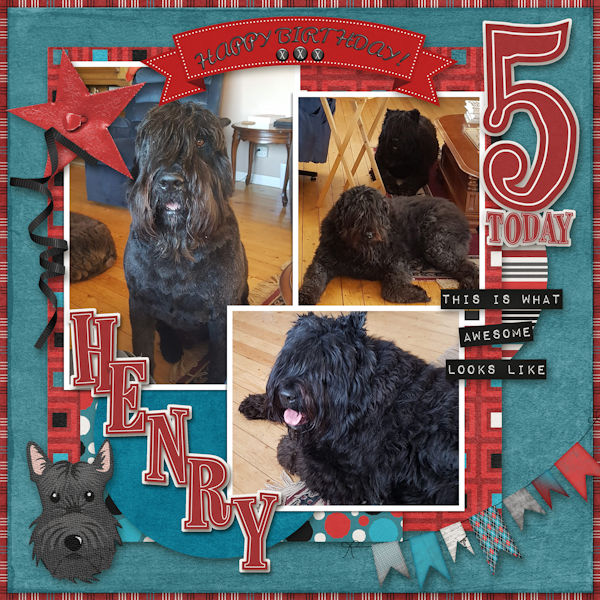 Happy Bday Henry