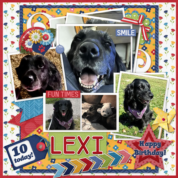 Happy Bday Lexi 2023
