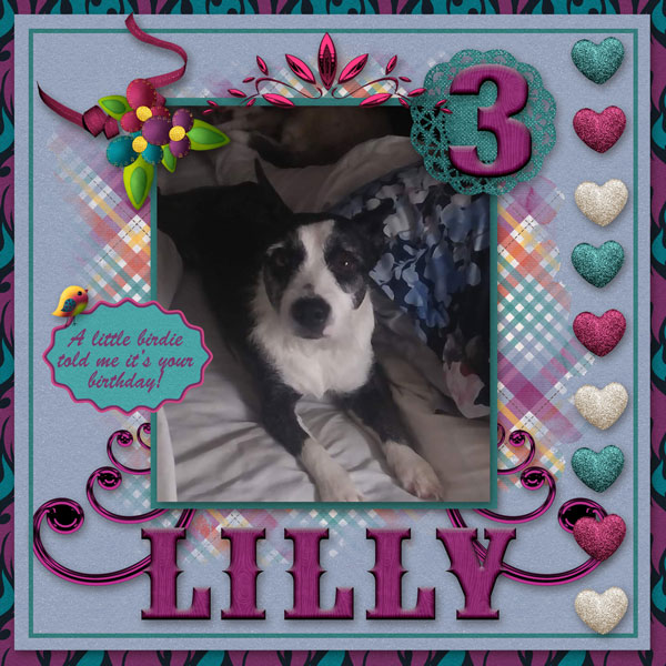 Happy Bday Lilly