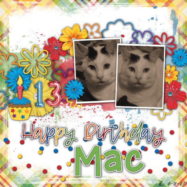 Happy Bday Mac