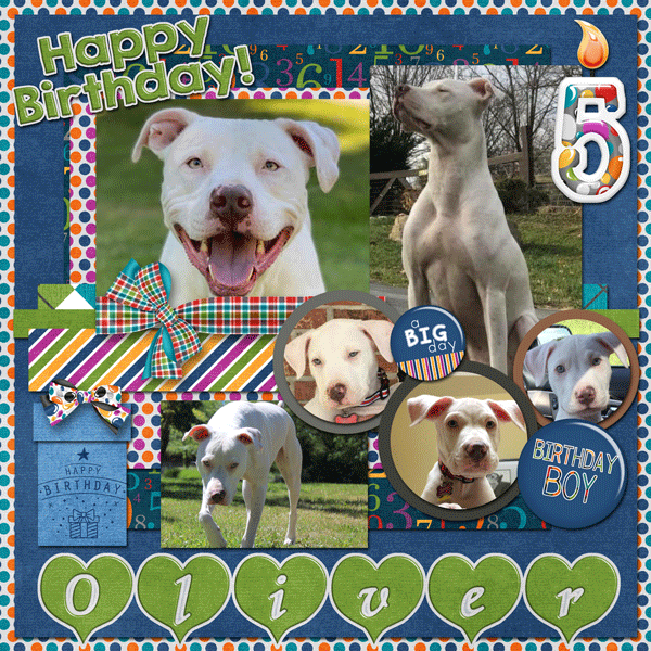 Happy Bday Oliver