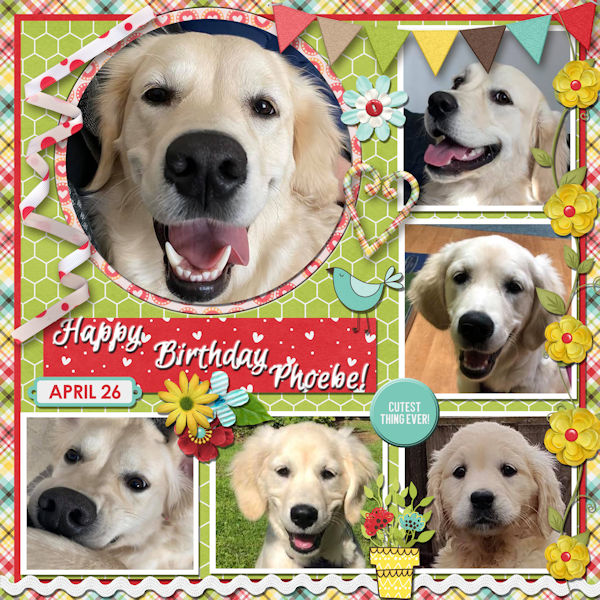 Happy Bday Phoebe