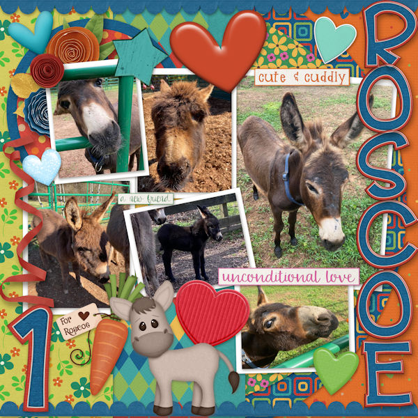 Happy Bday Roscoe