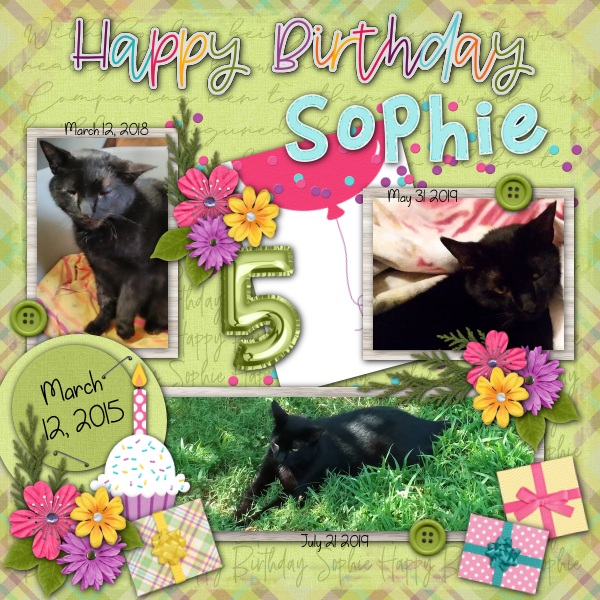 Happy Bday Sophie