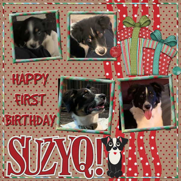 Happy Bday SuzyQ