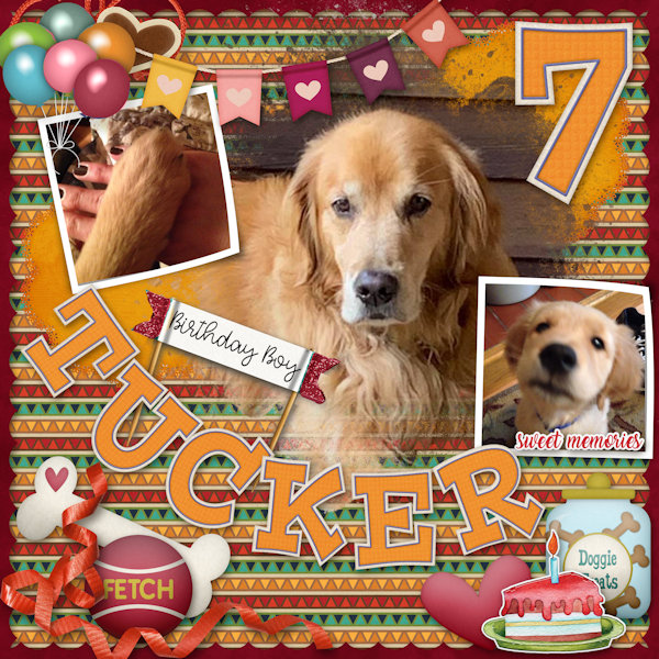 Happy Bday Tucker