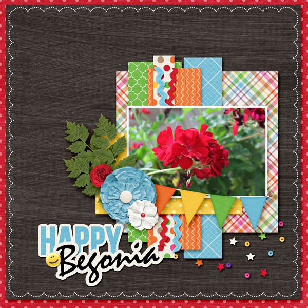 Happy Begonia
