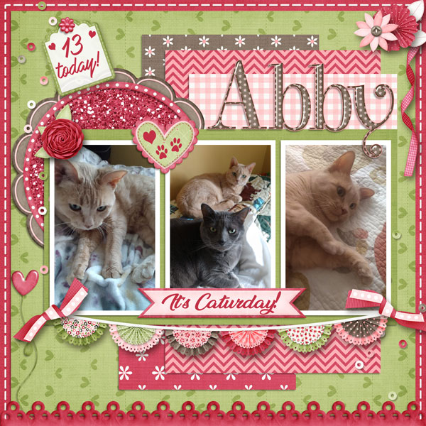 Happy Birthday Abby
