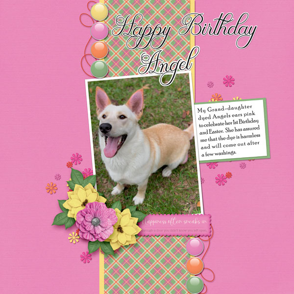 Happy Birthday Angel!
