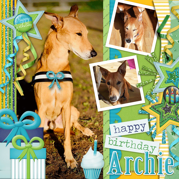 Happy Birthday Archie!
