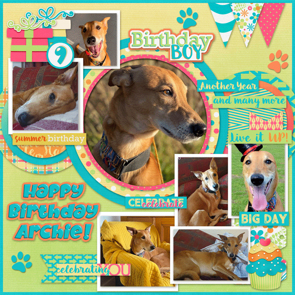 Happy Birthday Archie