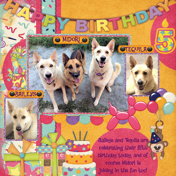 Happy Birthday, Baileys and Tequila