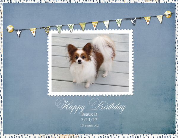 Happy Birthday Beaux D 3-11-17