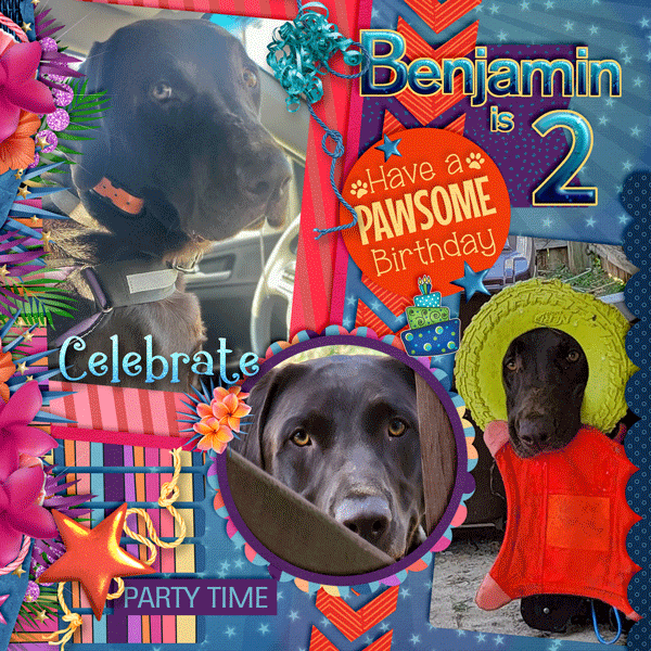 Happy Birthday Benjamin