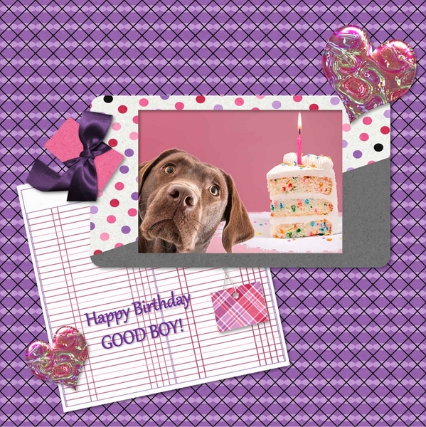 Happy Birthday Bentley!