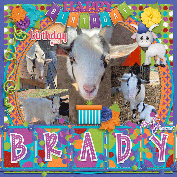 Happy Birthday Brady