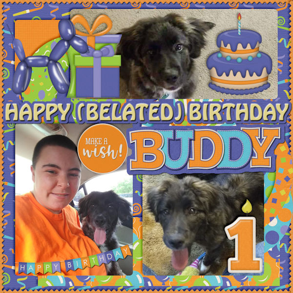 Happy Birthday Buddy