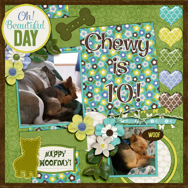 Happy Birthday Chewy!