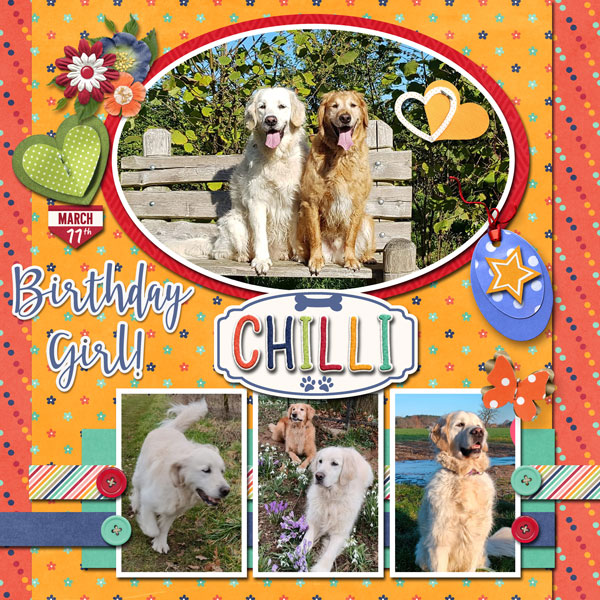 Happy Birthday Chilli