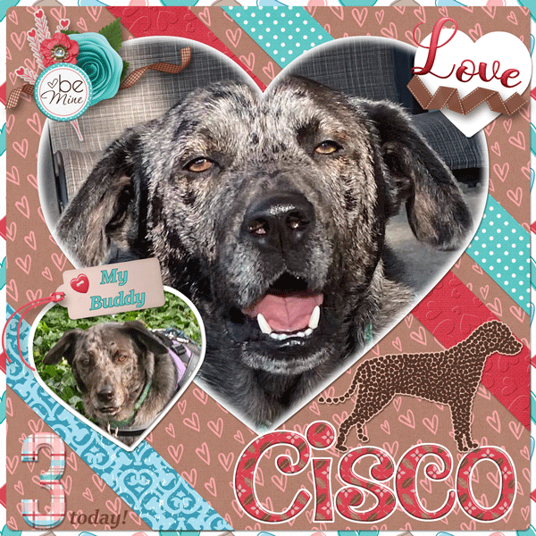 Happy Birthday Cisco