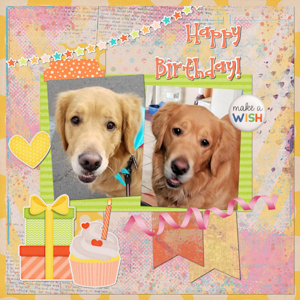 Happy Birthday Cookie