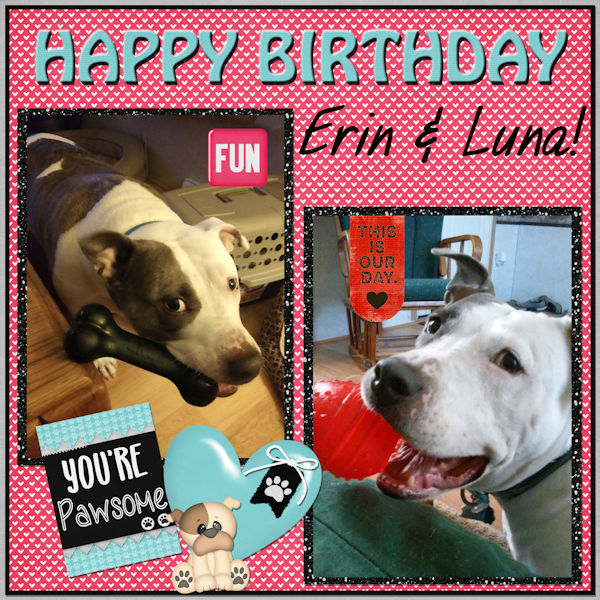 Happy Birthday Erin and Luna