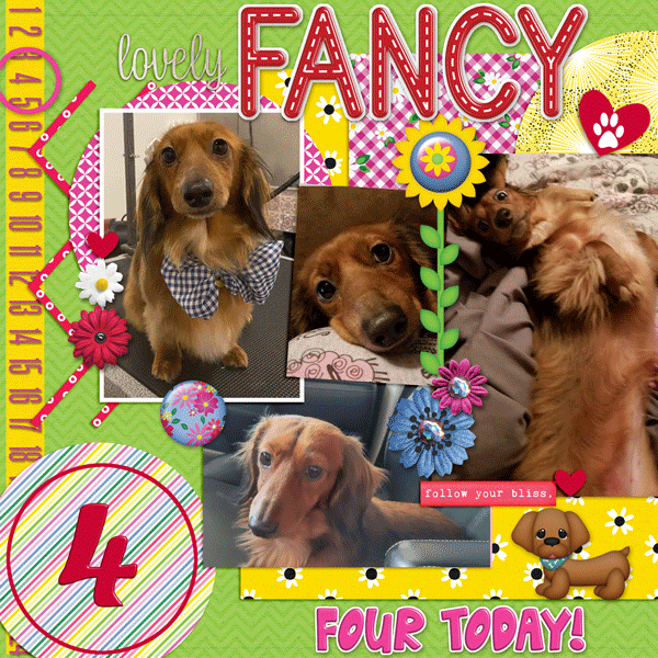 Happy Birthday Fancy