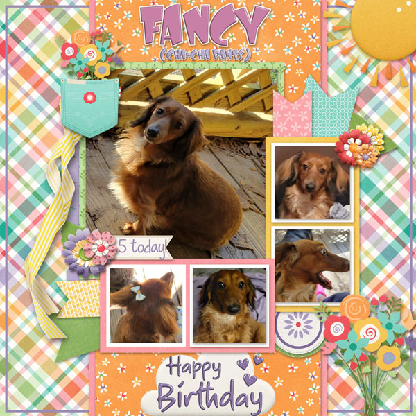 Happy Birthday Fancy