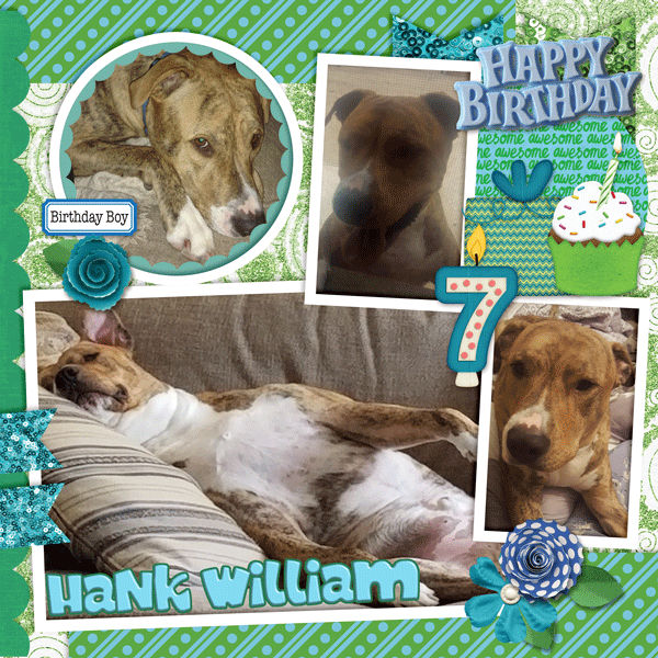 Happy Birthday Hank