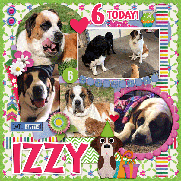 Happy Birthday Izzy
