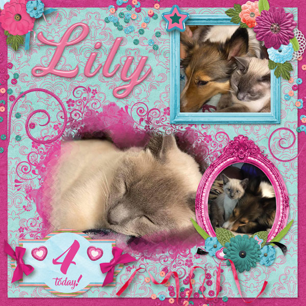 Happy Birthday Lily 2023!