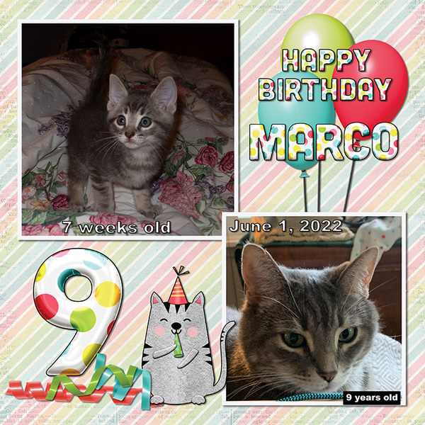 Happy Birthday Marco!