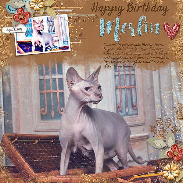 Happy Birthday Merlin