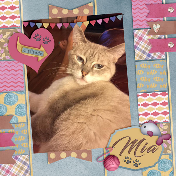 Happy Birthday Mia