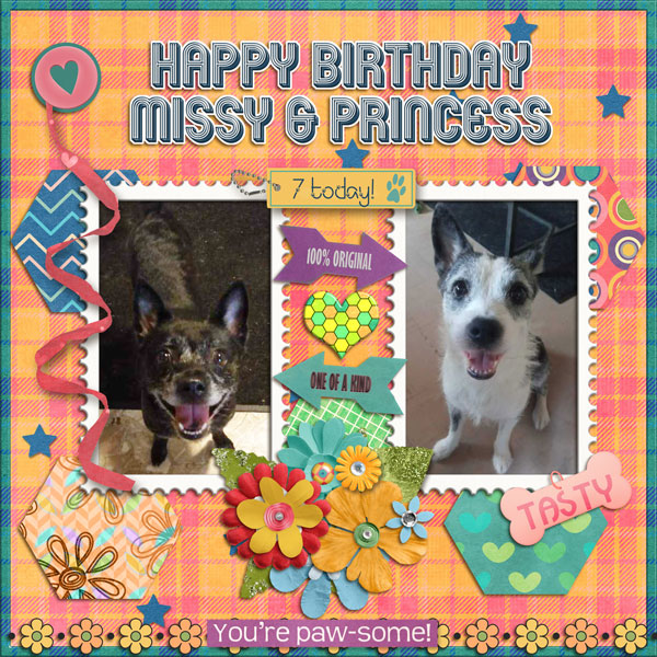 Happy Birthday Missy + Princess 2023
